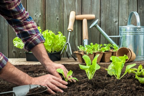 Seasonal lawn care activities in Twickenham