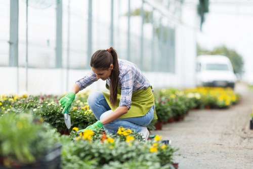 Gardener assessing a front garden with tools
