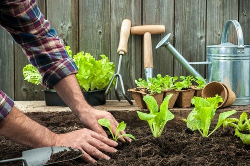 Gardening team briefed on safety procedures in a suburban garden