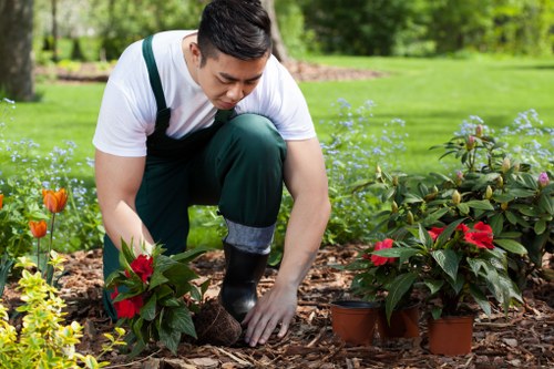 A supervisor reviewing a site plan beside hedges before work begins