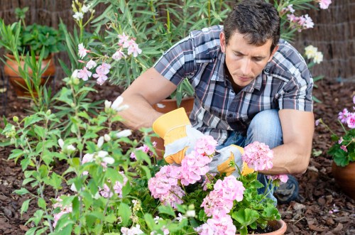 Planning a landscape project in Twickenham
